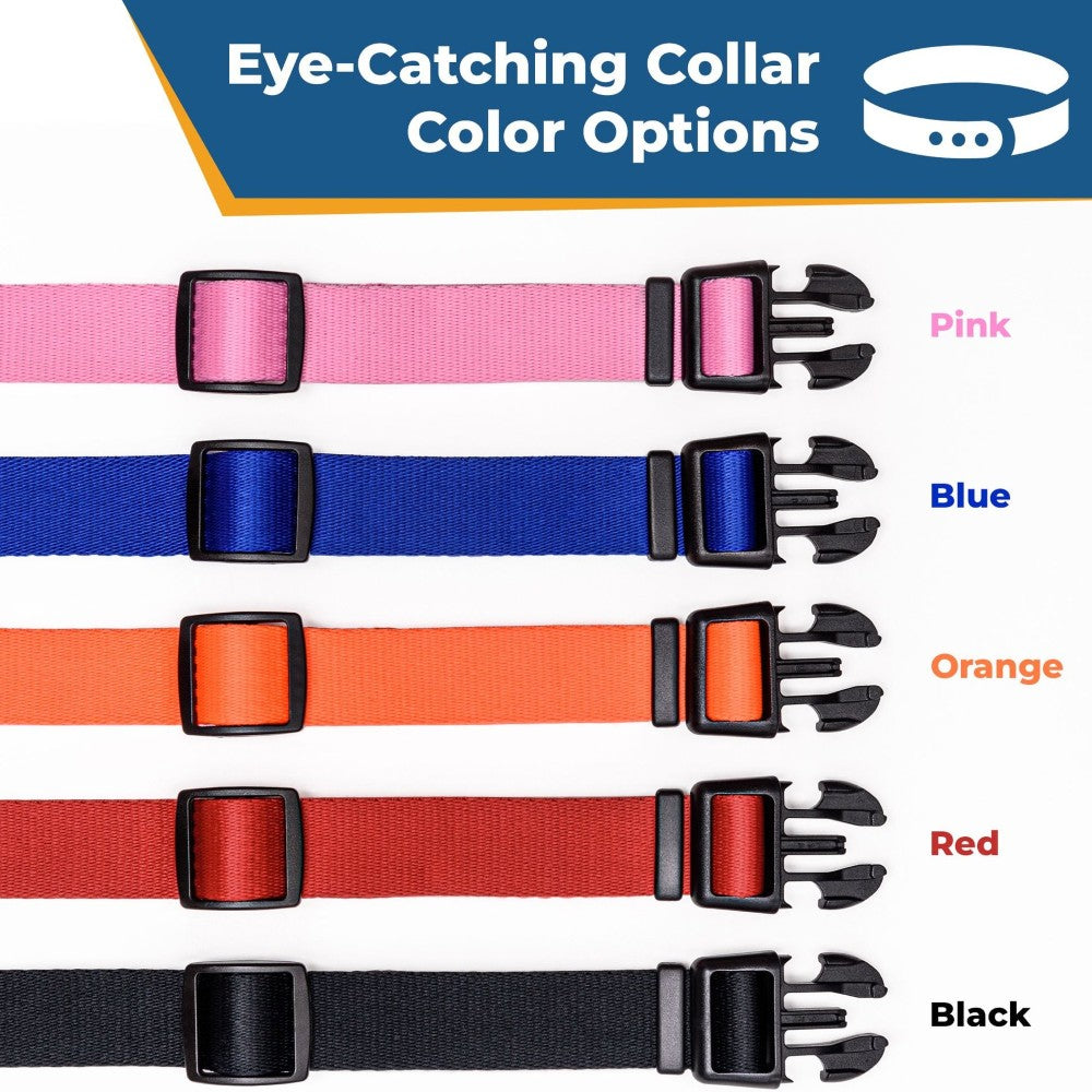 Personalized Adjustable Dog Collar For All Breeds