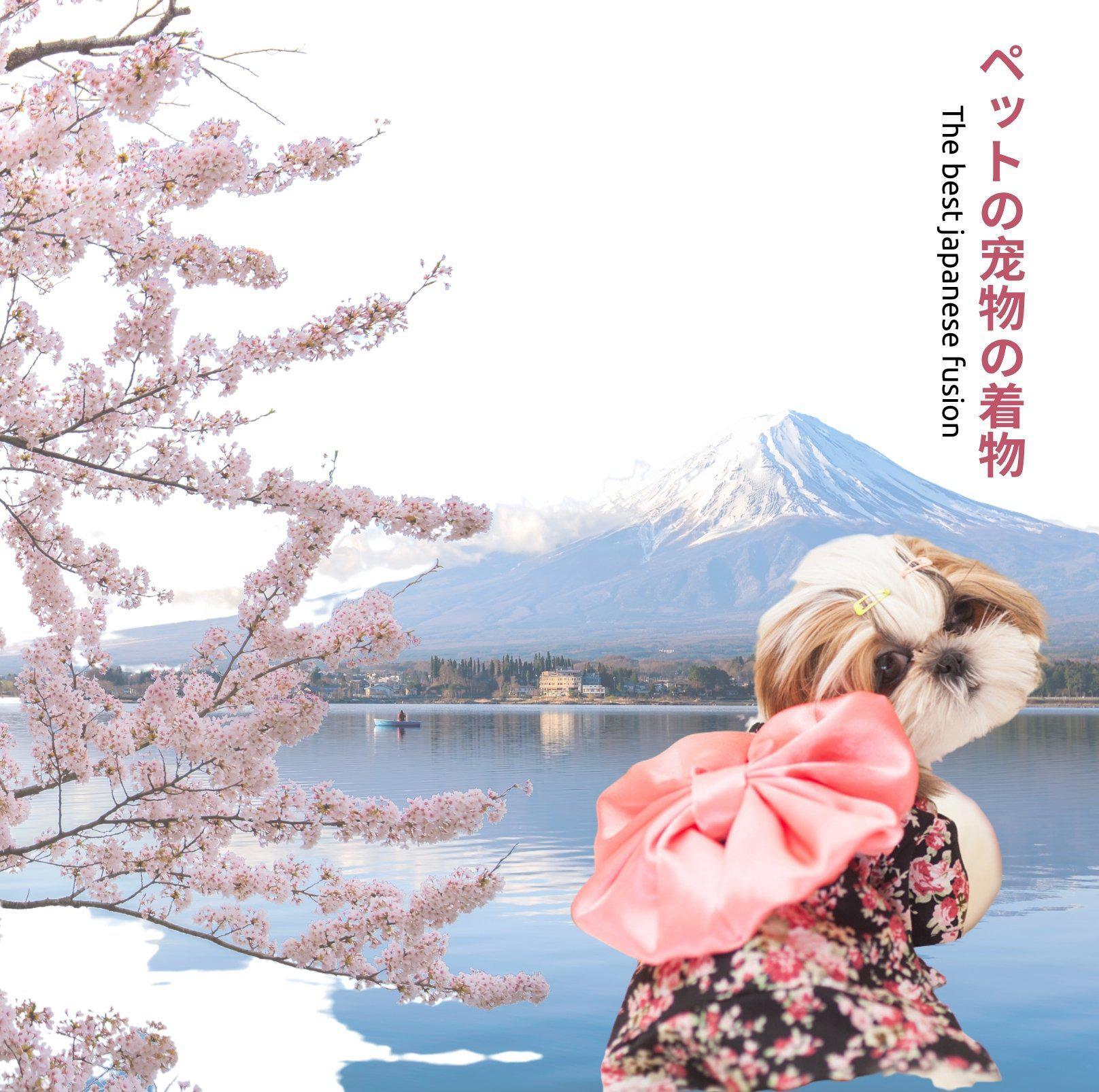 Pet Wagasa Black Flora