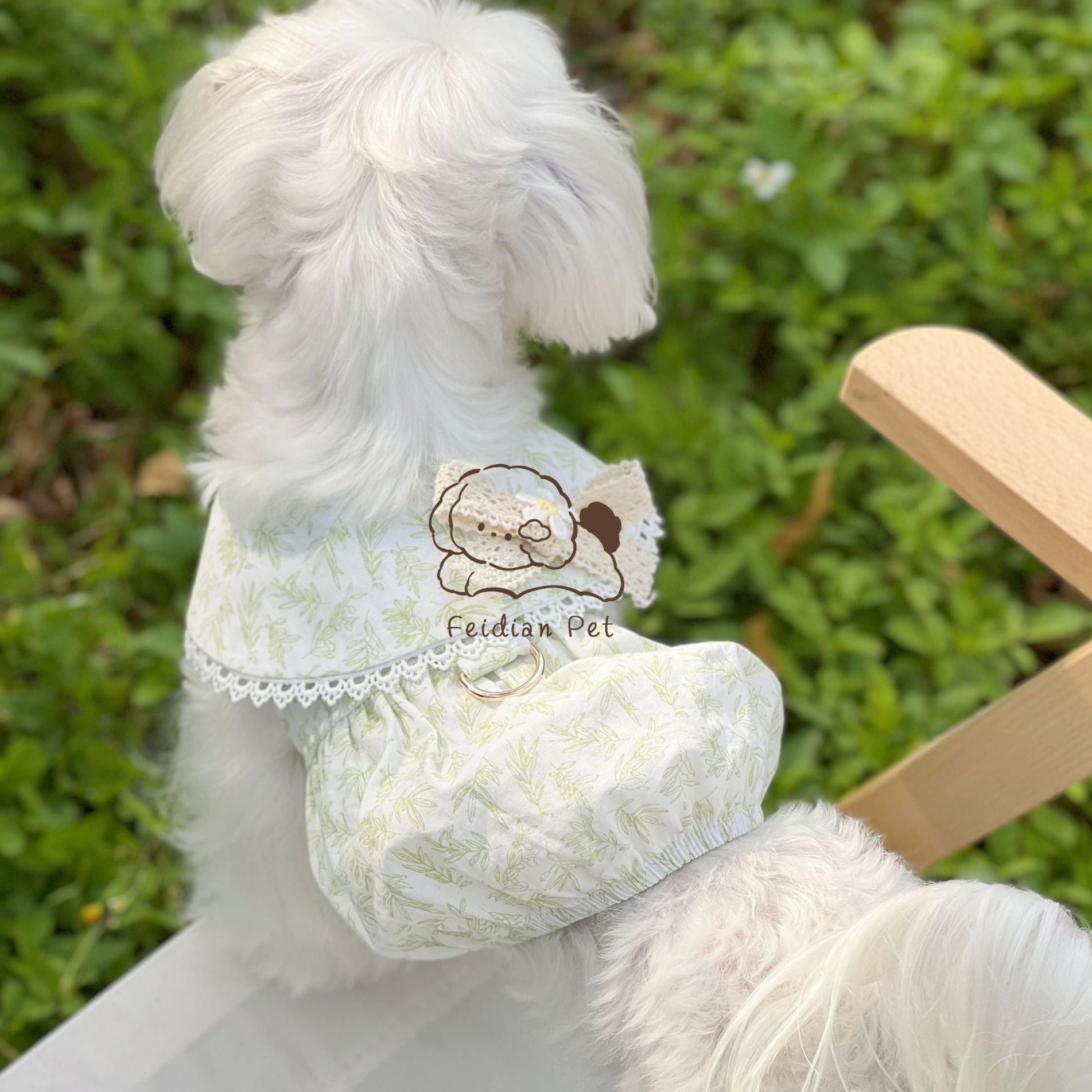Leaf Printed Dog Dress with Hair Clip