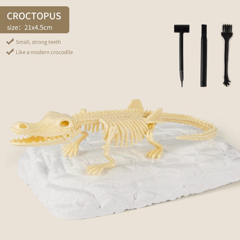 Great Educational Toy for Kids🎁2022 New Arrival Dinosaur Fossil Digging Kit - Get Three Tools For Free🔥