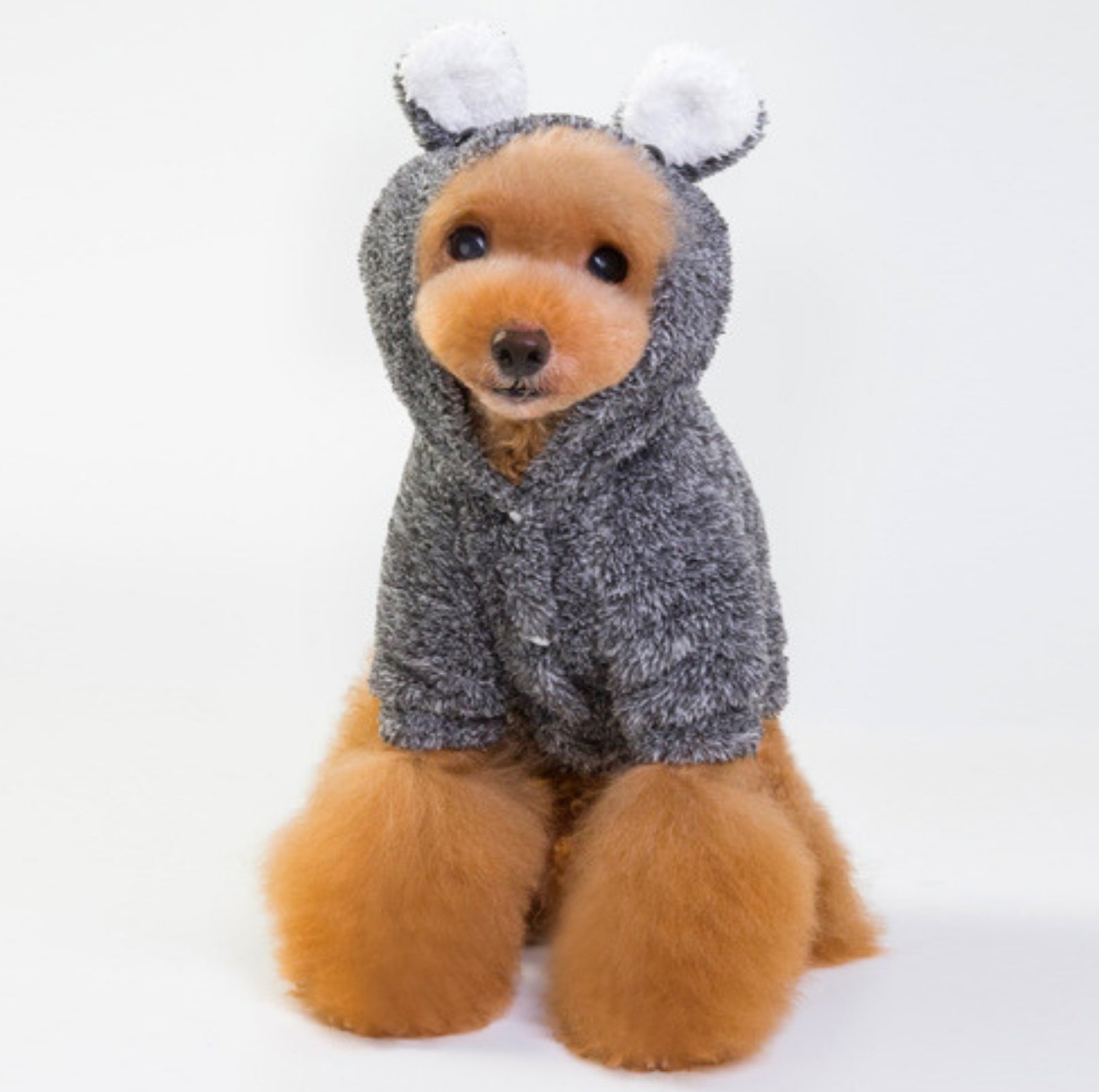 Cozy Koala Double-Fleece Dog Jacket