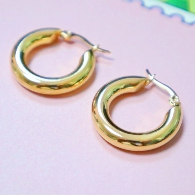 1 Pair Minimalist Solid Color Plating Stainless Steel Hoop Earrings