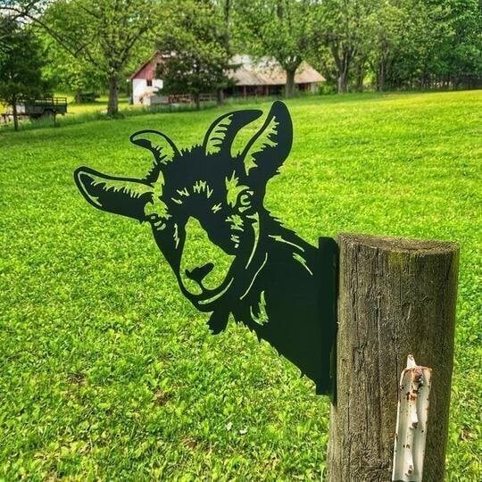 🔥Farm Peeping Animal Metal Art