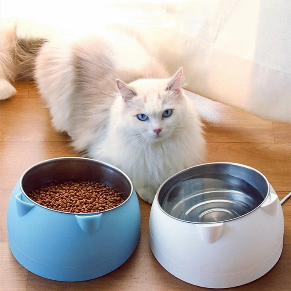 Pet Feeding Bowl