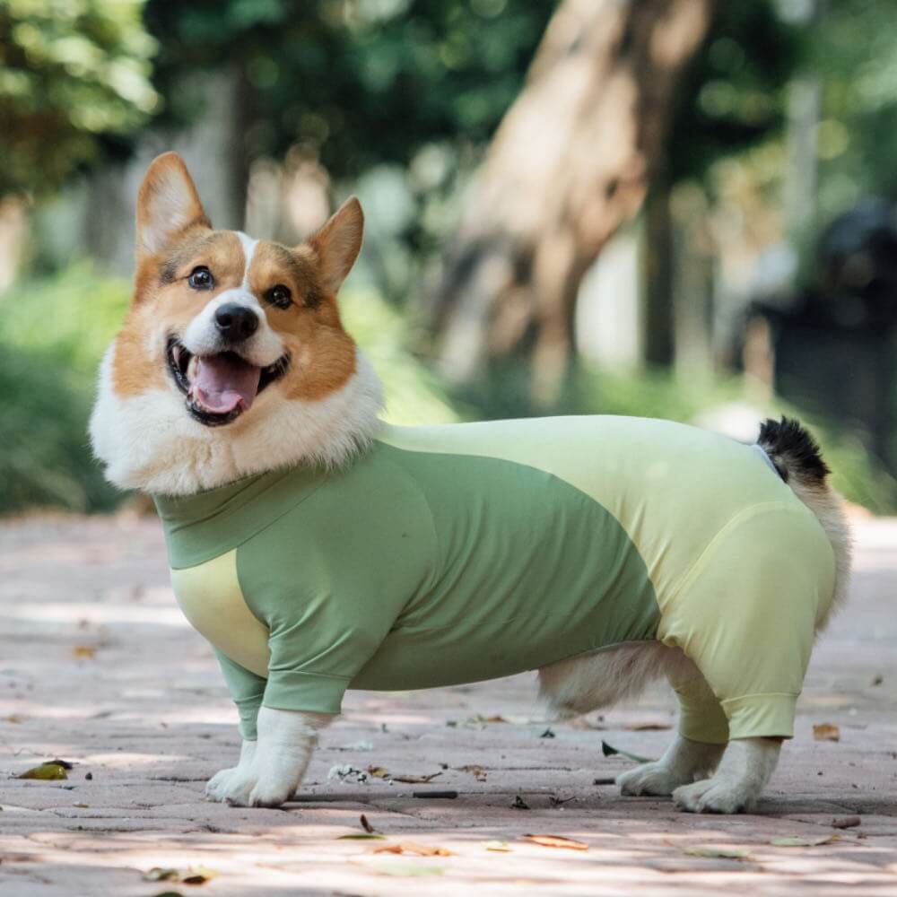 Extra Large Stretch Sunblock Dog Onesie Cooling Dog Clothes