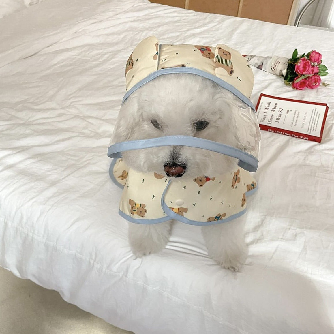 Sweet Bear Printed Dog Raincoat
