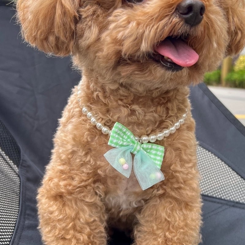 Cute Minimalist Plastic Bow Knot Beaded Pet Collar