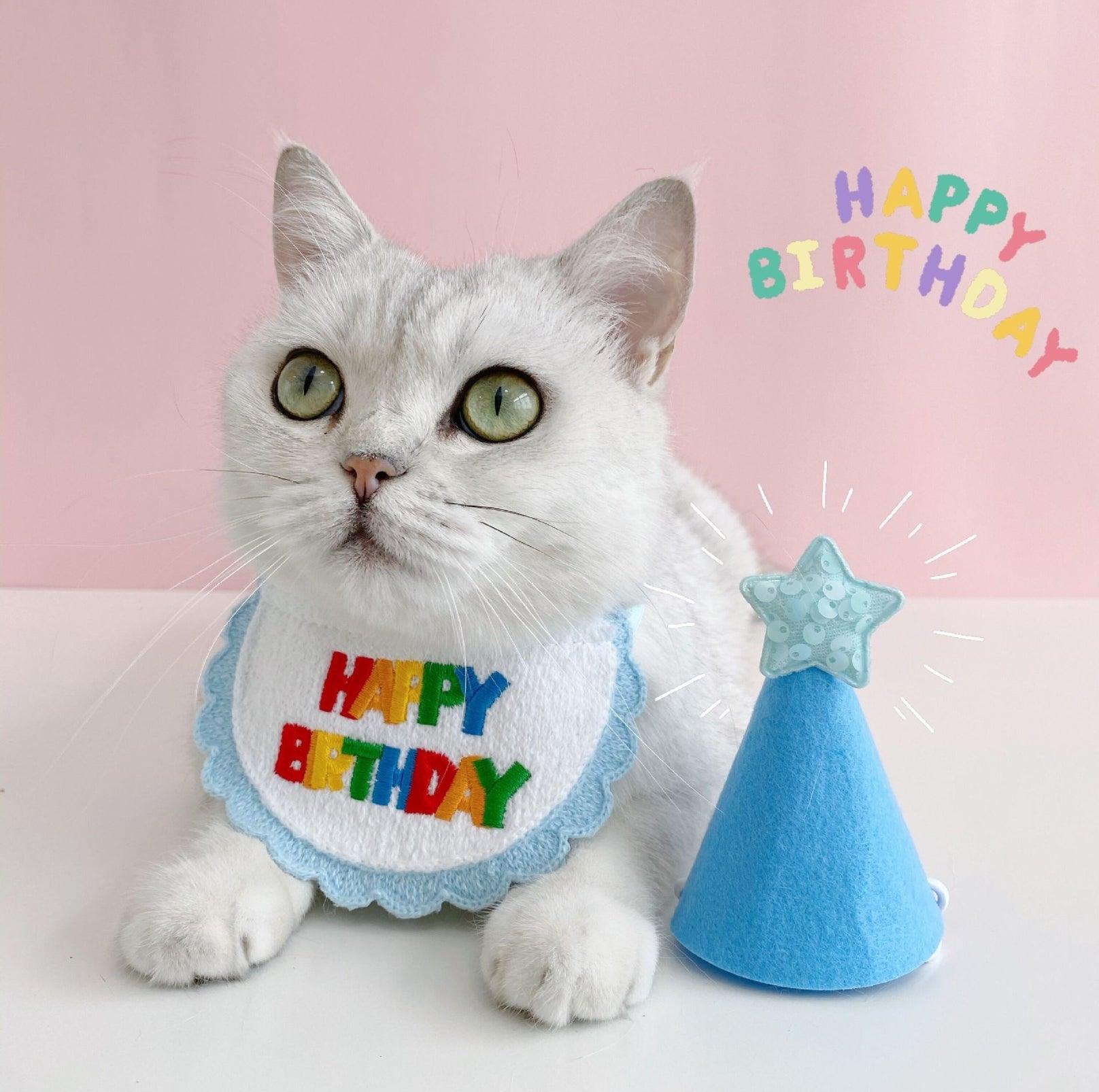 Pet Birthday Ensemble: Stylish Hat & Bib Accessory Set