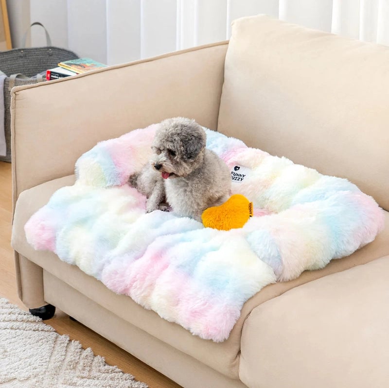 Minimalist Classic Style Cloth Solid Color Pet Bed