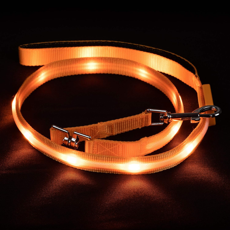 Pet Leash With USB Lighting