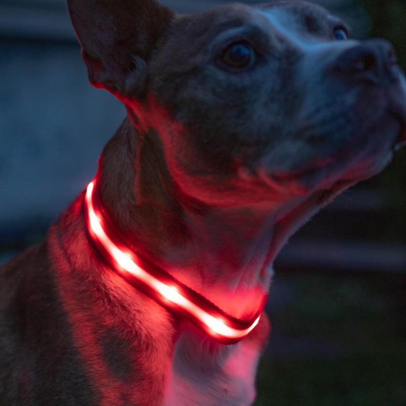 Adjustable Strap Design Dog Leash With LED Lighting