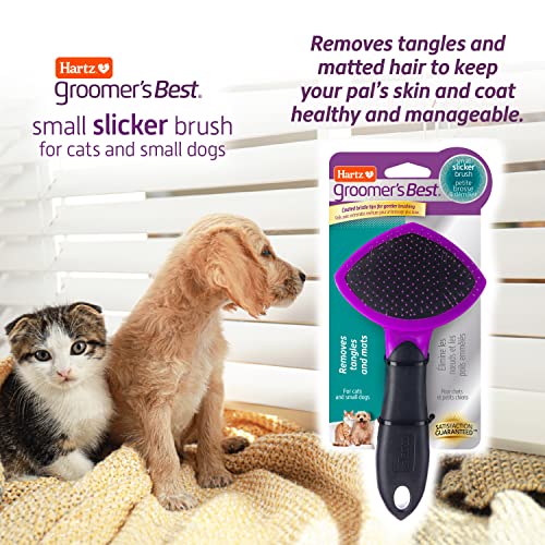 HARTZ. Groomer's Best Small Slicker Brush for Cats and Small Dogs. Black/Violet. 1 Count