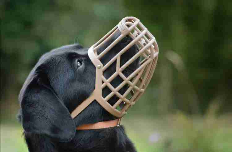 Dog strong plastic muzzles