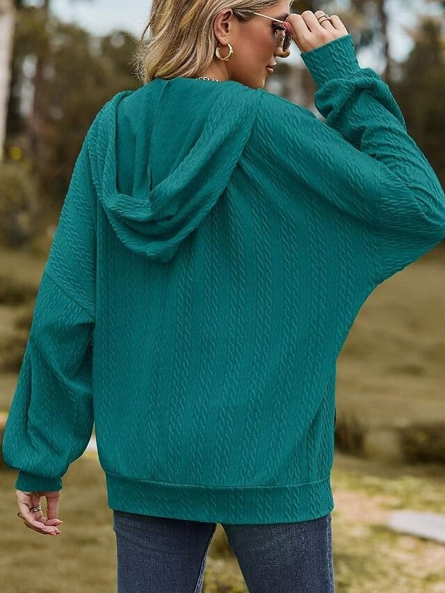 Women's Zip Up Hoodie Sweatshirt Plain Dailywear Sports Zipper Pocket White Red Blue Modern Loose Fit Hooded Long Sleeve Micro-elastic Fall Winter