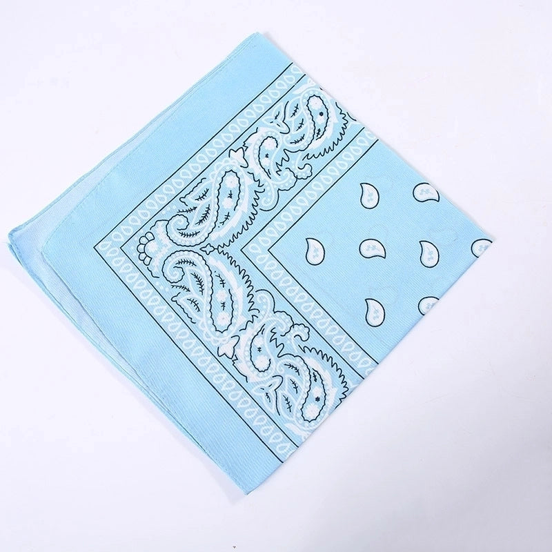 Unisex Hip-Hop Paisley Polyester Bandanas