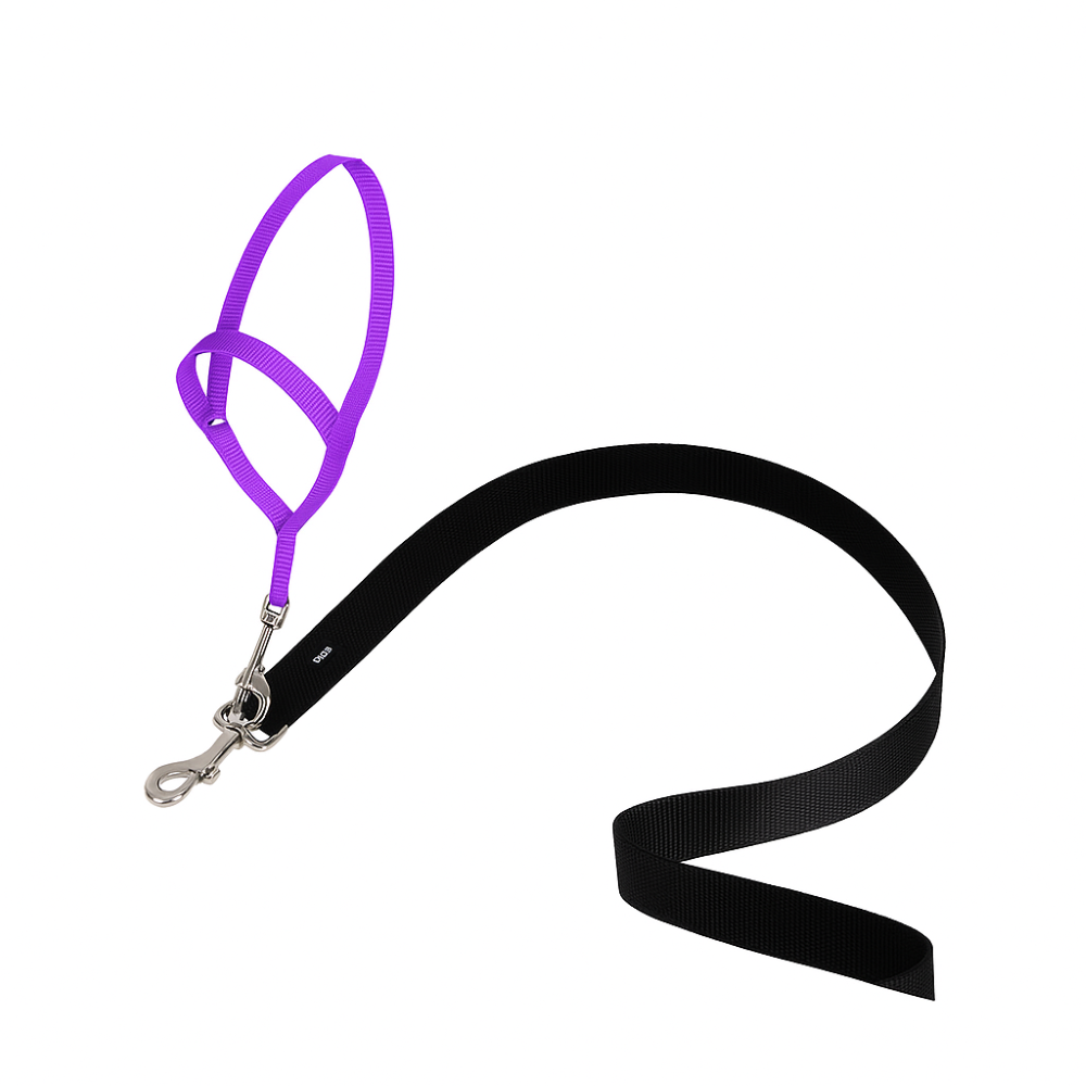 Adjustable No Pull Dog collar