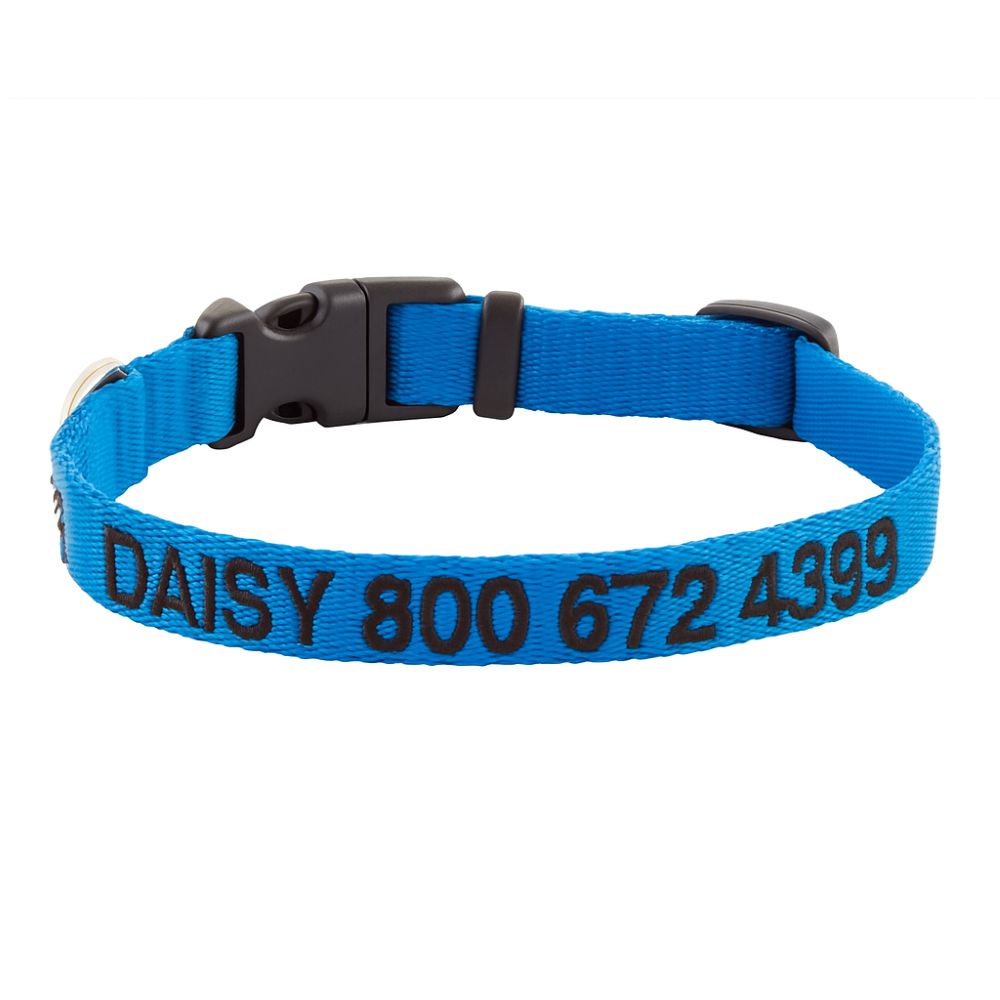 Personalized Adjustable Dog Collar For All Breeds