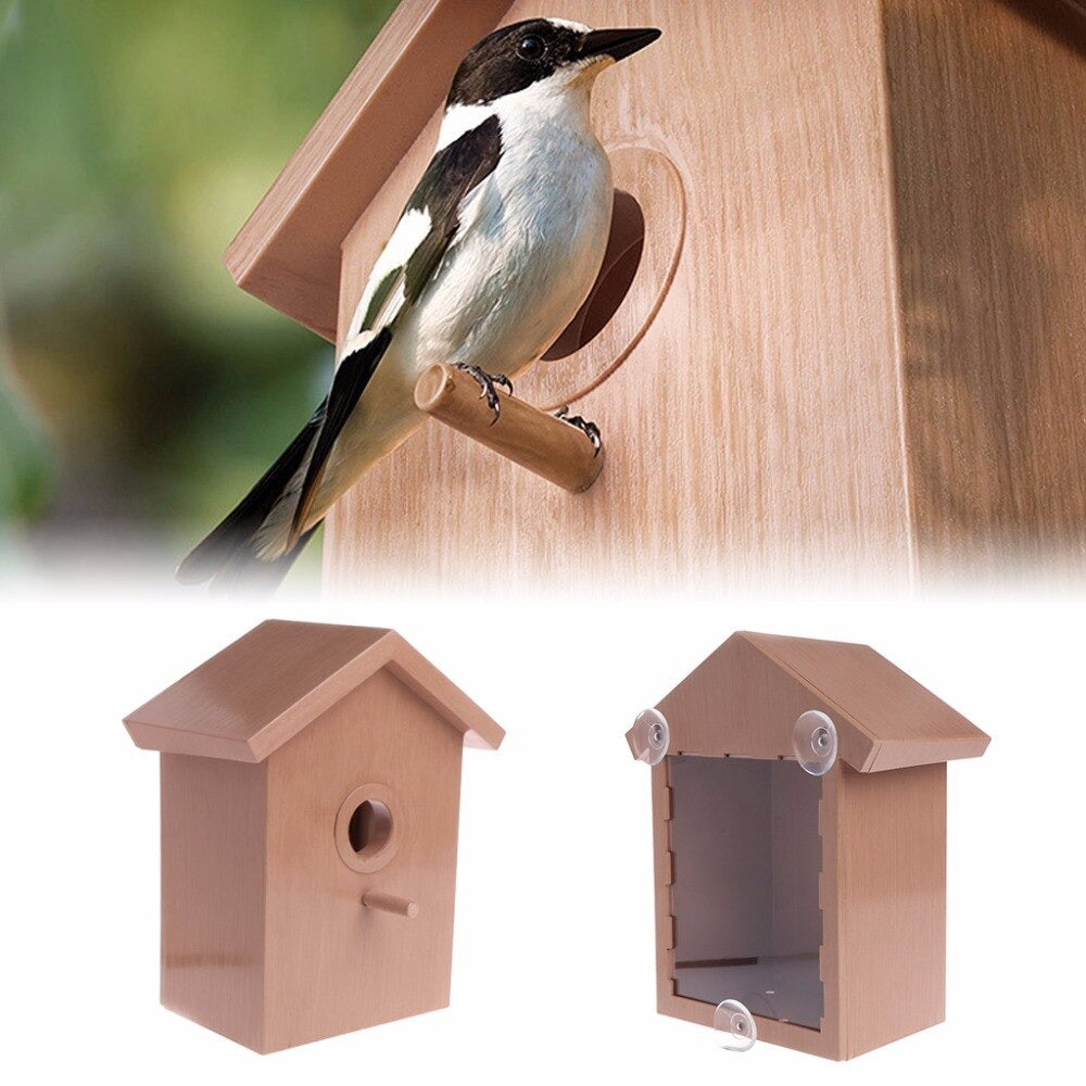 Transparent Bird House Swallow Bird Nest