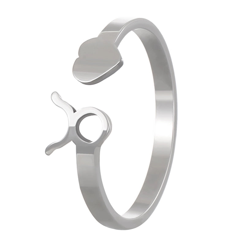 Minimalist Twelve Constellation Stainless Steel Open Rings