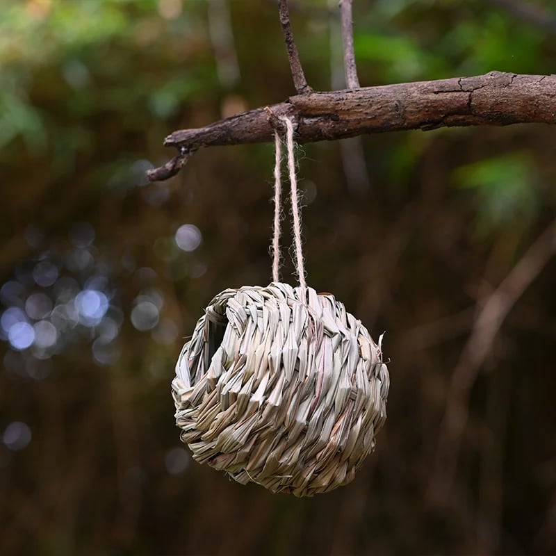 💲49% OFF-🐦Hummingbird Nest House