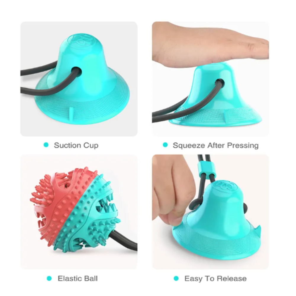 ChewyClean Suction Cup Treat Toy