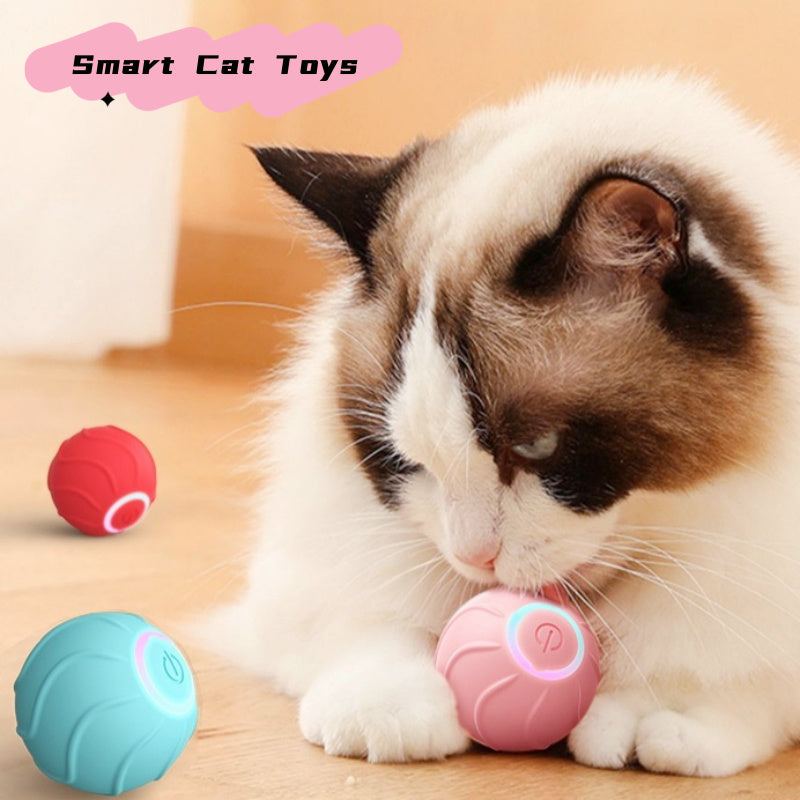Smart Bouncing Cat Toy - USB Rechargeable Interactive Ball