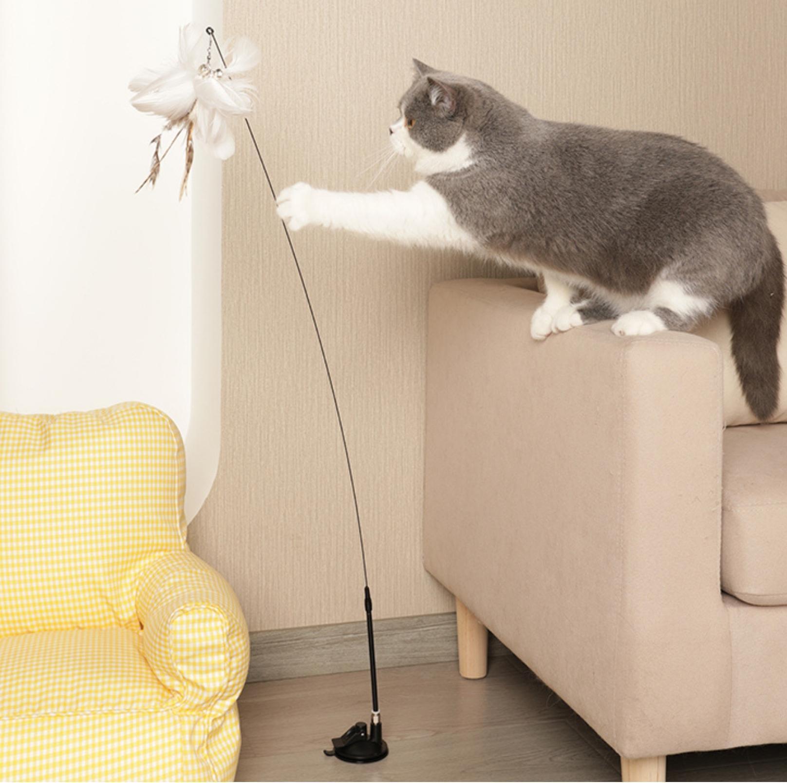 Free Your Hands: Extended Elastic Wire Cat Stick Teaser Cat Toys