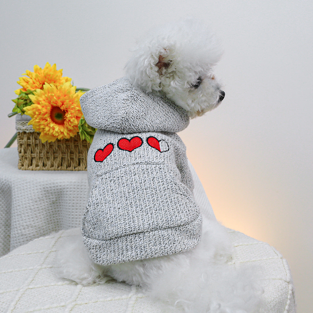 Little Heart Printed Dog Hoodie