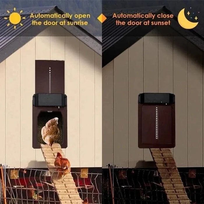 Automatic Chicken Coop Door