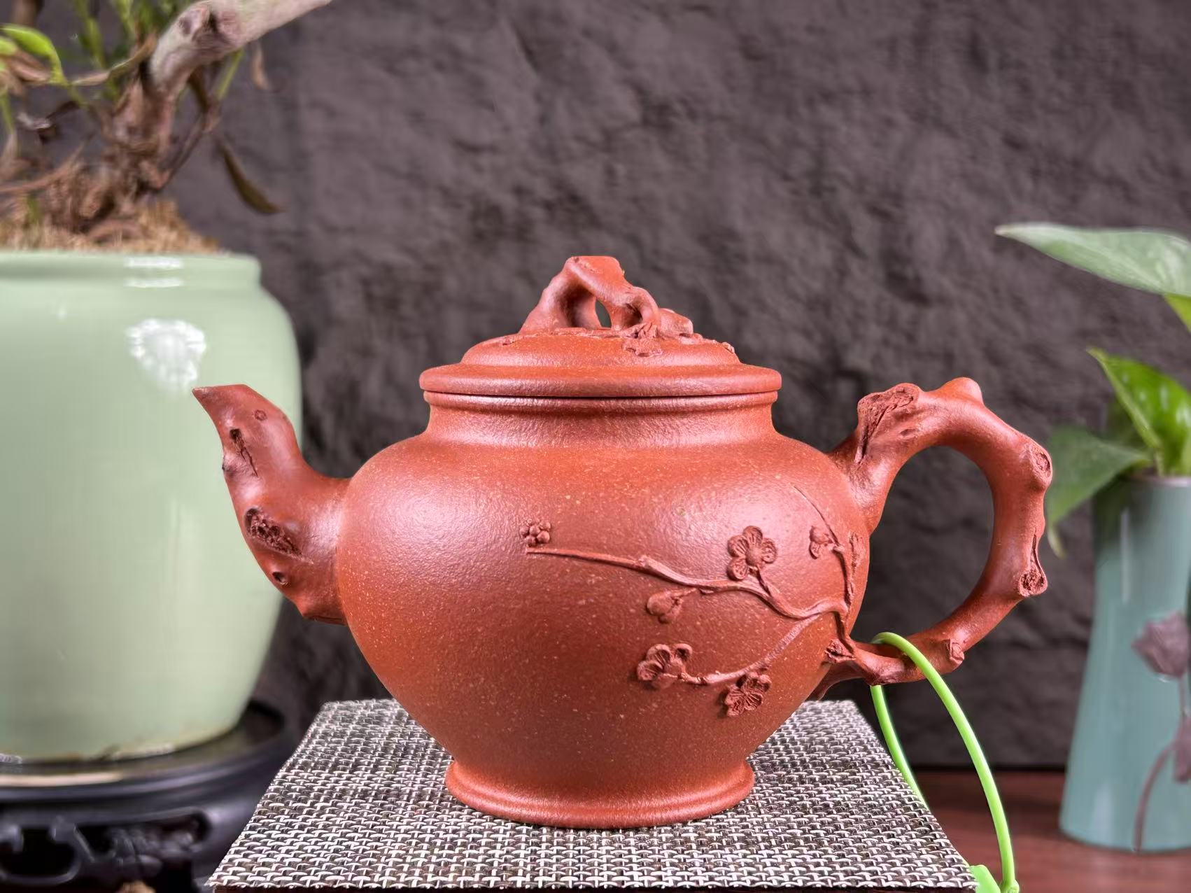 20250807-2-梅报春