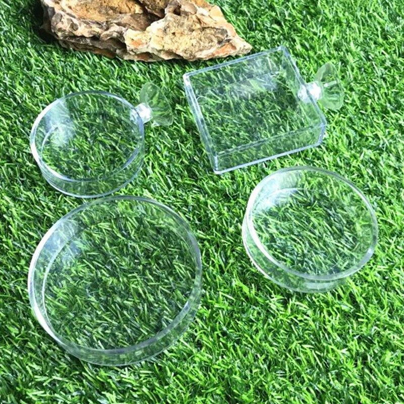 Aquarium Shrimp Glass Feeding Bowl