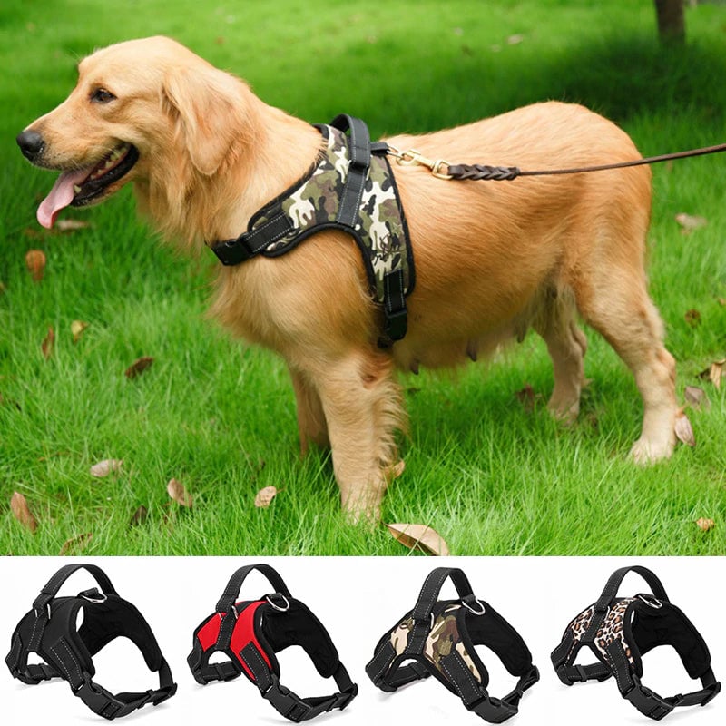 Padded Heavy Duty Pet Harness