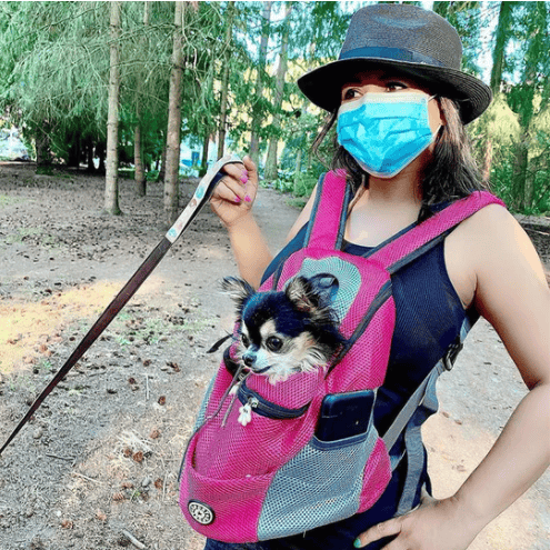 🔥2023 Dog Backpack