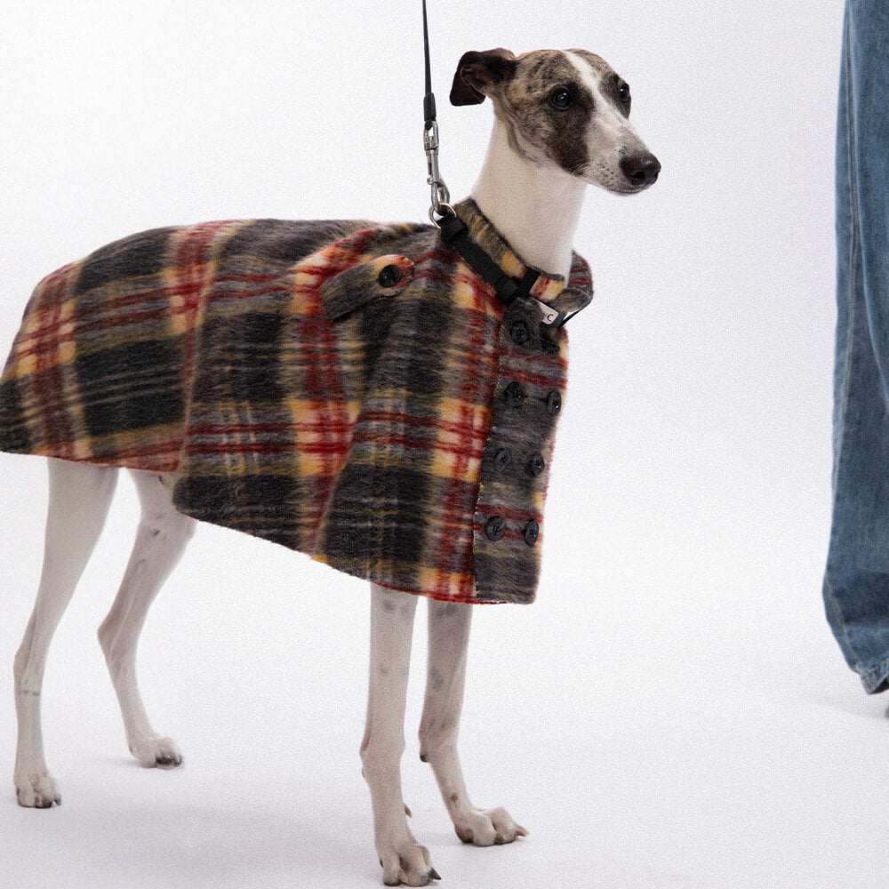 Vintage Plaid Wool With Refined Leather Collar & Button Dog Cape