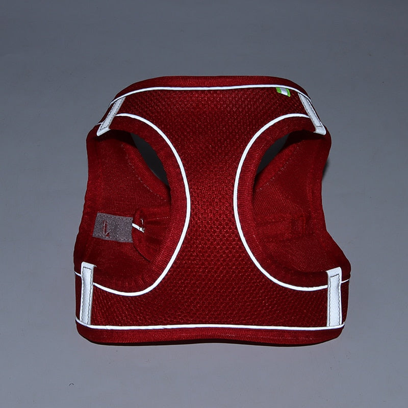 Adjustable Dog Harness Leash Set