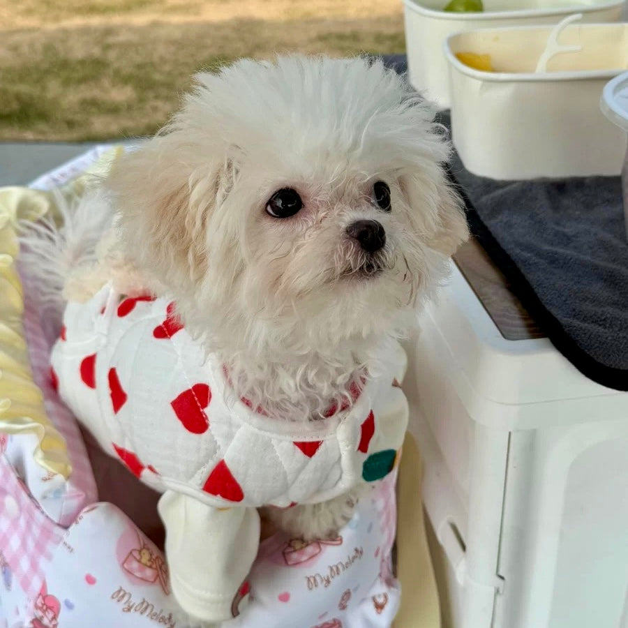 Heart Printed Bear Dog Cat Jacket Harness