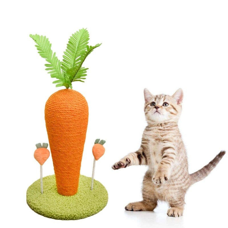 Carrot Shape Scratcher With Pad