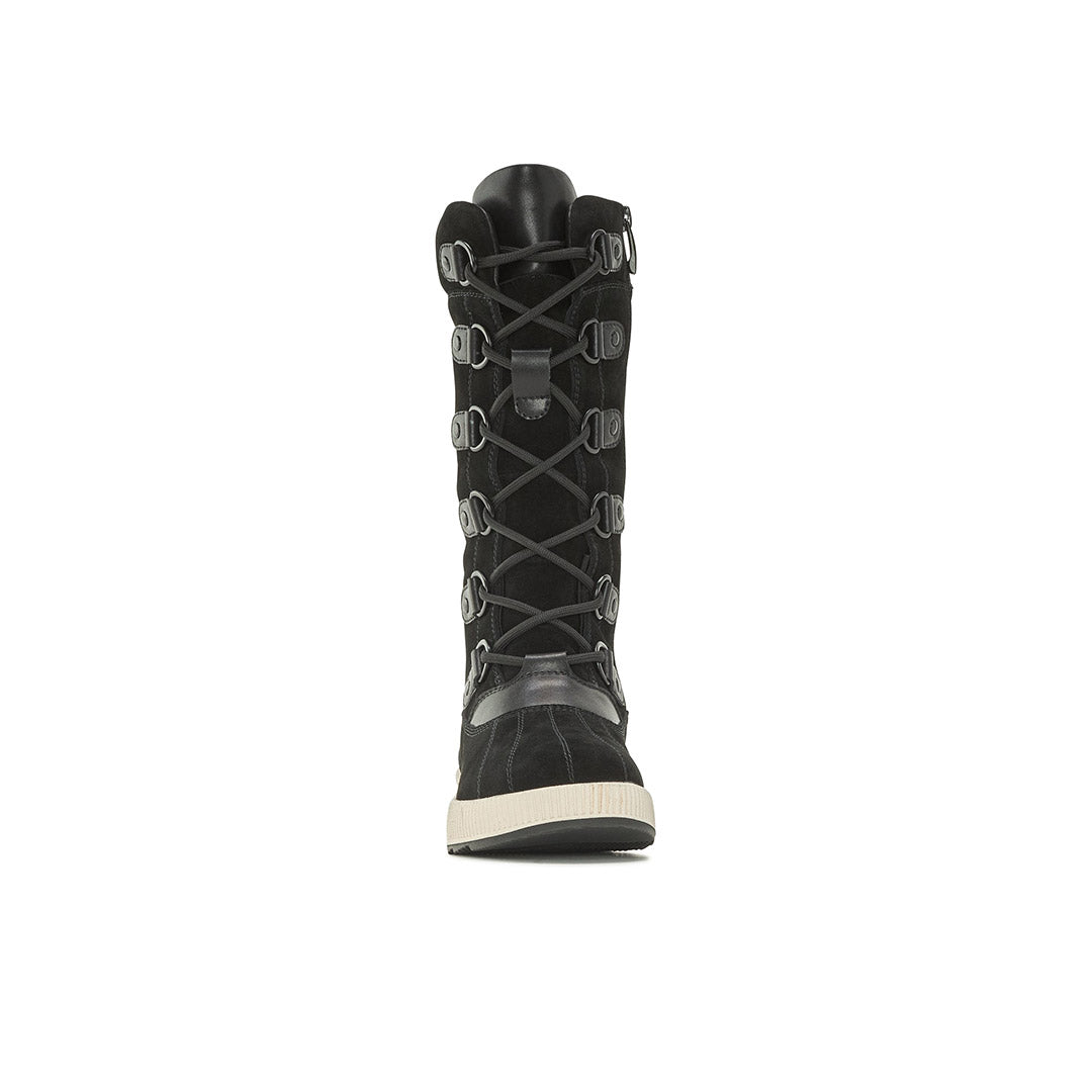 Hivernal Tall