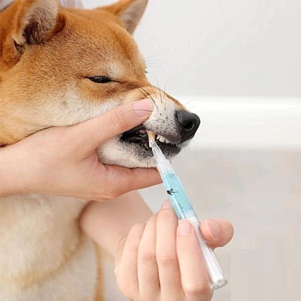 🌿Natural Plant Substance - Pet Teeth Repairing Kit🐶