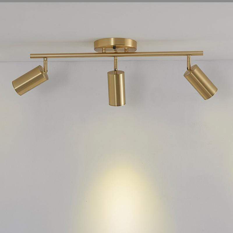 Asva 3 Heads | Track Light
