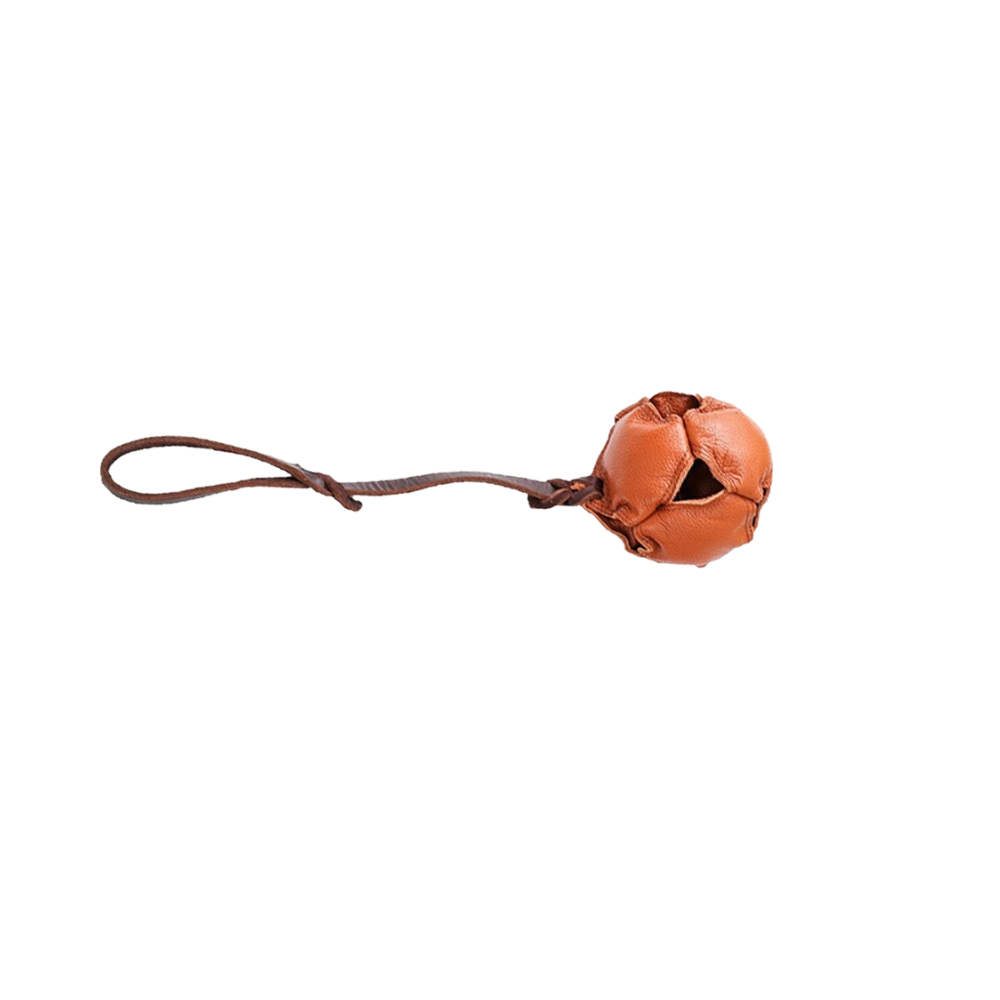 Training Dog Leather Ball
