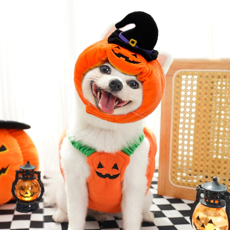 Minimalist Classic Style Polyester Halloween Pumpkin Pet Clothing