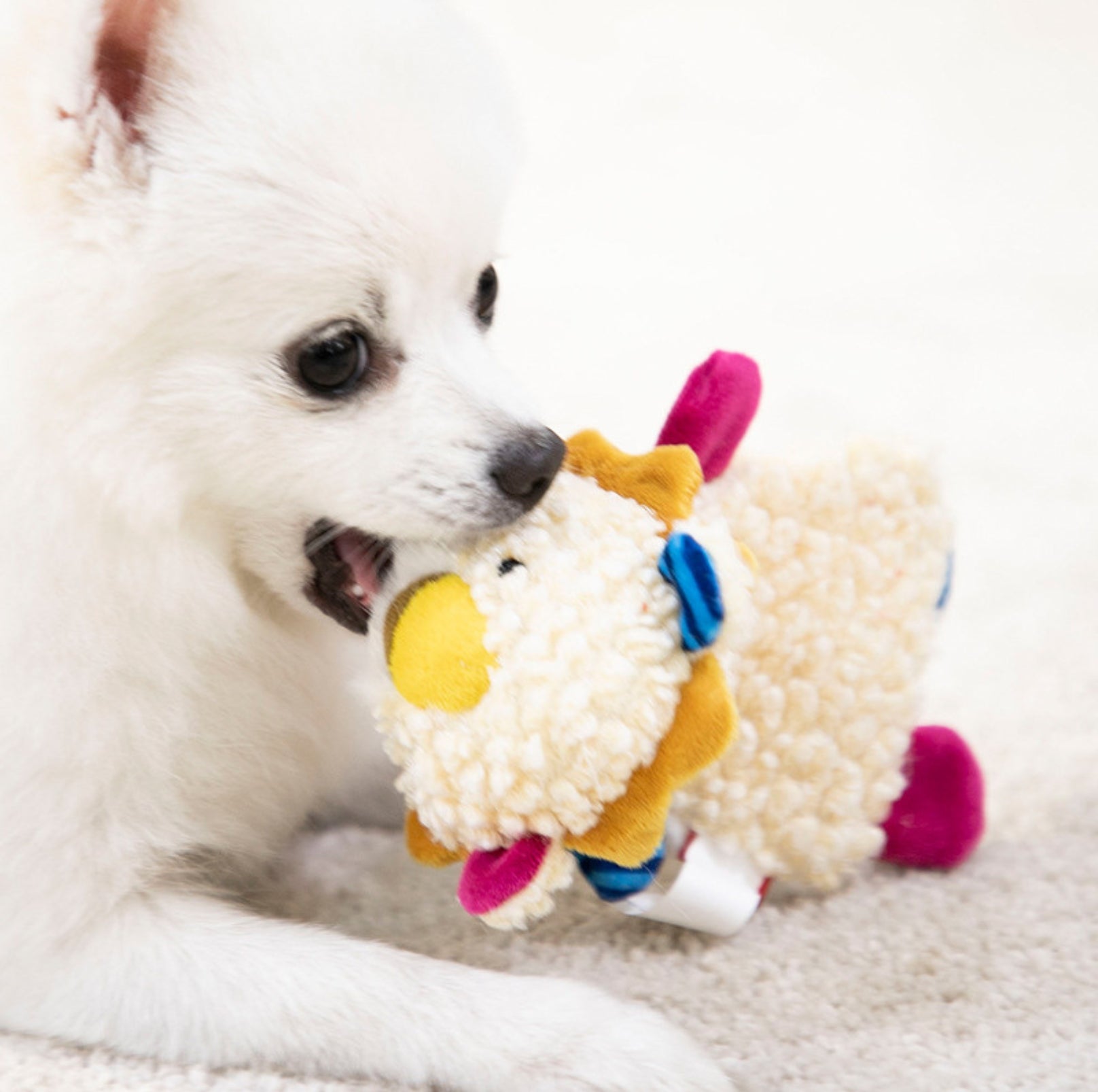 GiGwi Plush Knit - Squeaky and Crackling Interactive Dog Toy