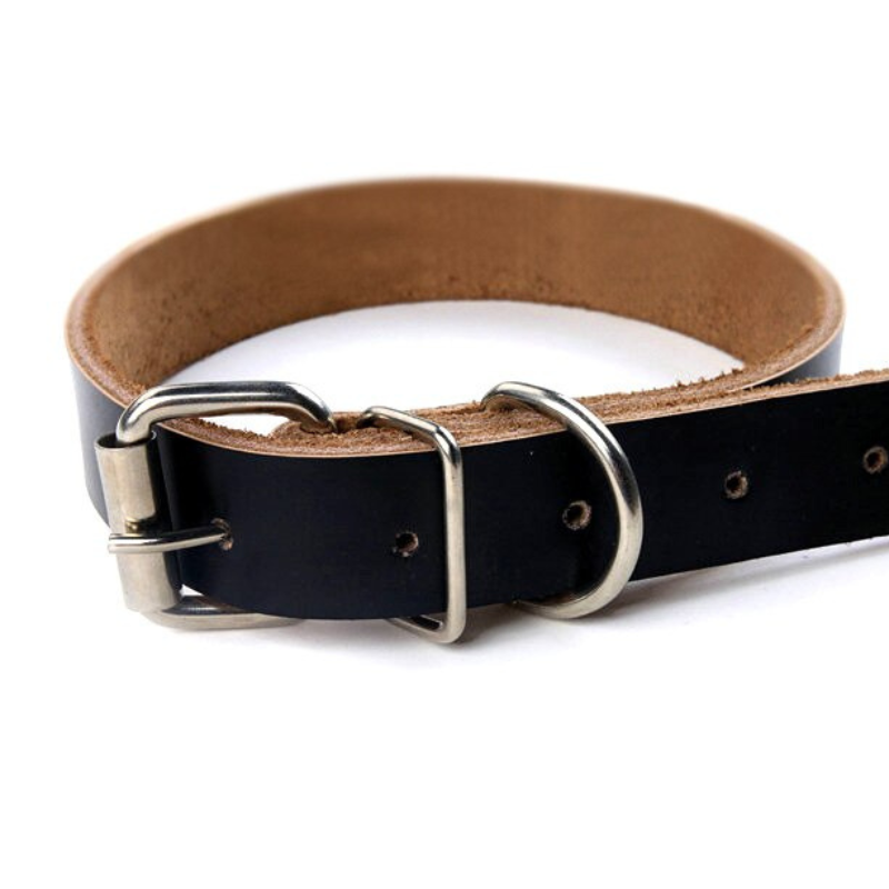 Puppy Dogs Collar