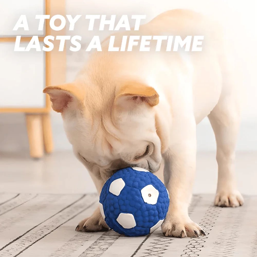 Immortal Toy