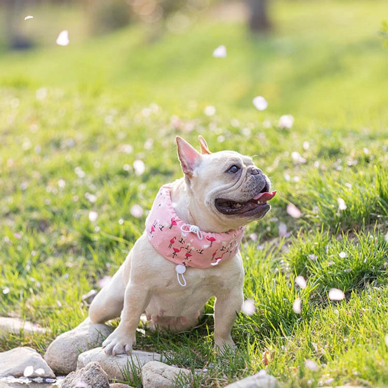 Pet Cooling Scarf Dog Summer Cooling Ice Scarf Cooling Supplies Fadou Corgi Ice Bag Anti-heatstroke