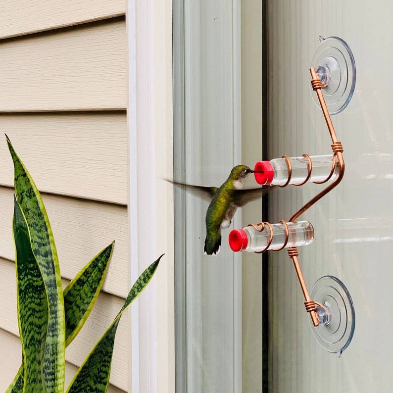 Geometric Window Hummingbird Feedere