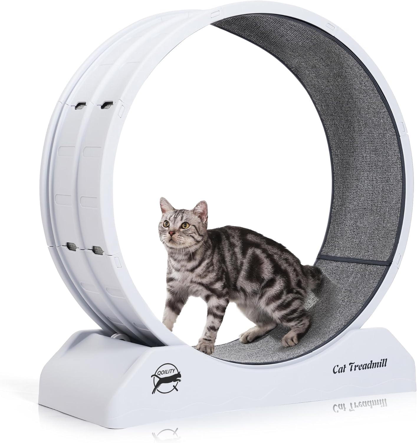 Cat Exercise Treadmill