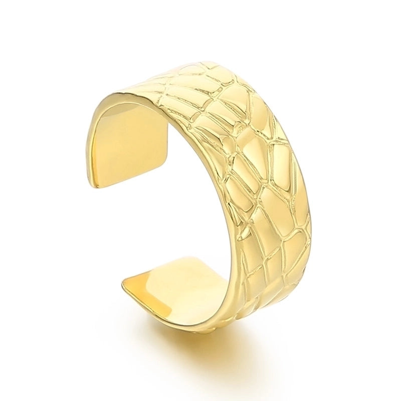 Minimalist Solid Color Titanium Steel 18K Gold Plated Polishing Open Rings