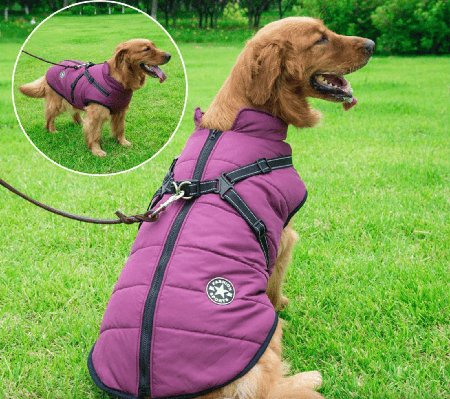 Christmas Sale  Winter Waterproof Dog Jacket with Built-In Car